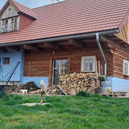 Pension Hermína Jilemnice Exterior foto